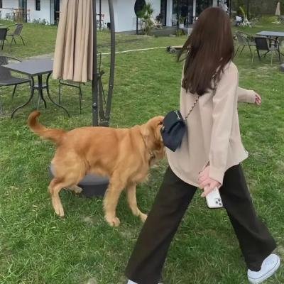 后人类传说